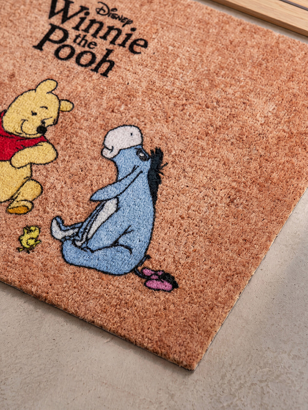 Disney Winnie Puuh Fußmatte – Rutschfester Teppich für drinnen (45 × 75 cm)