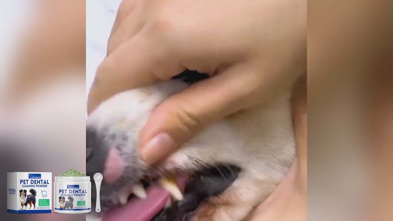 Dog Tooth Cleaning Powder
